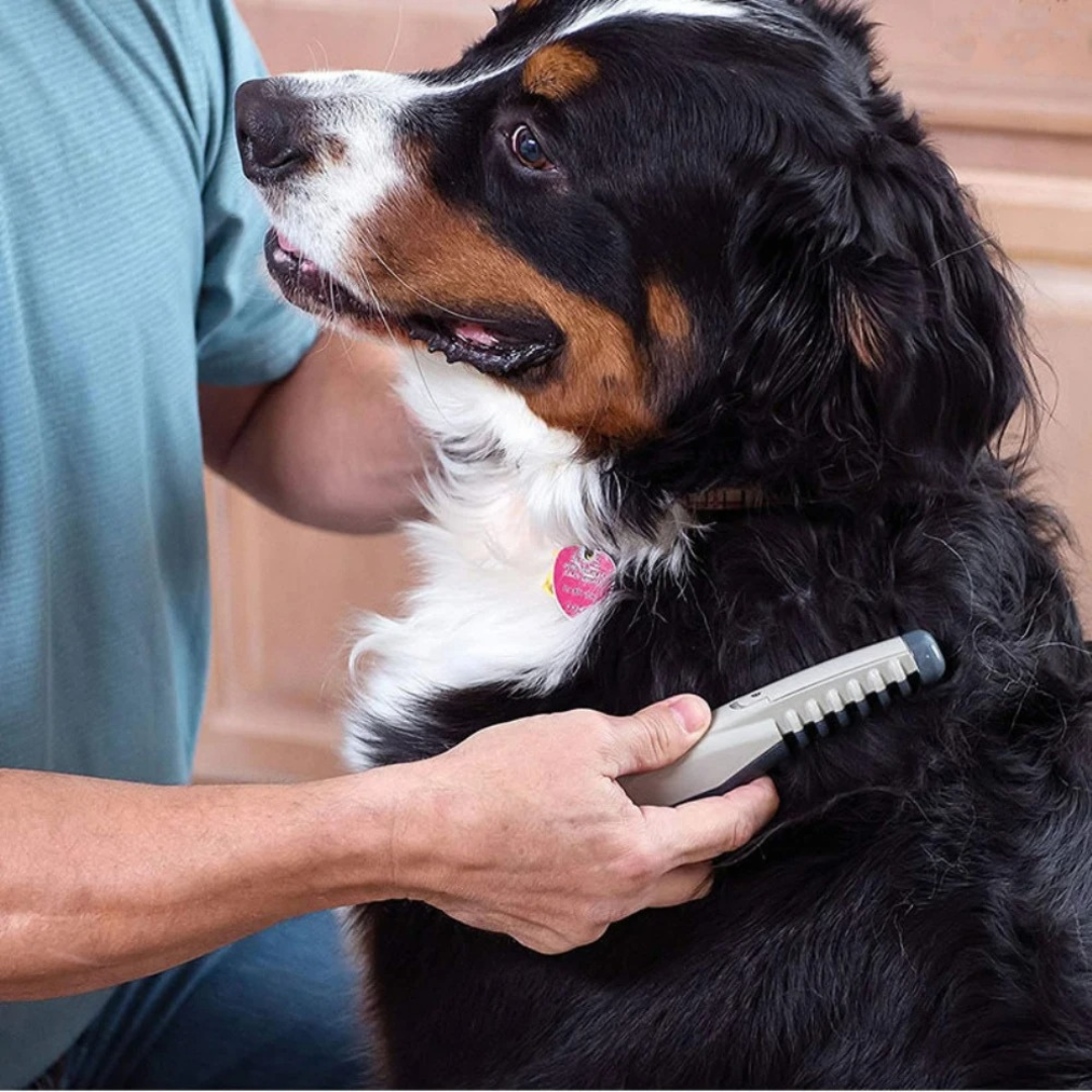 Pet Trimmer for Dogs and Cats with Stainless Steel Blades, view 2