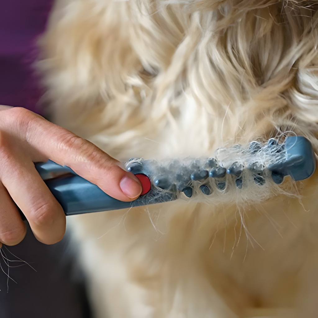 Pet Trimmer for Dogs and Cats with Stainless Steel Blades, view 3