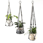 Plant Hanging Holder | High & Bury