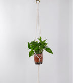 Plant-Hanging Macrame Shelf | High & Bury