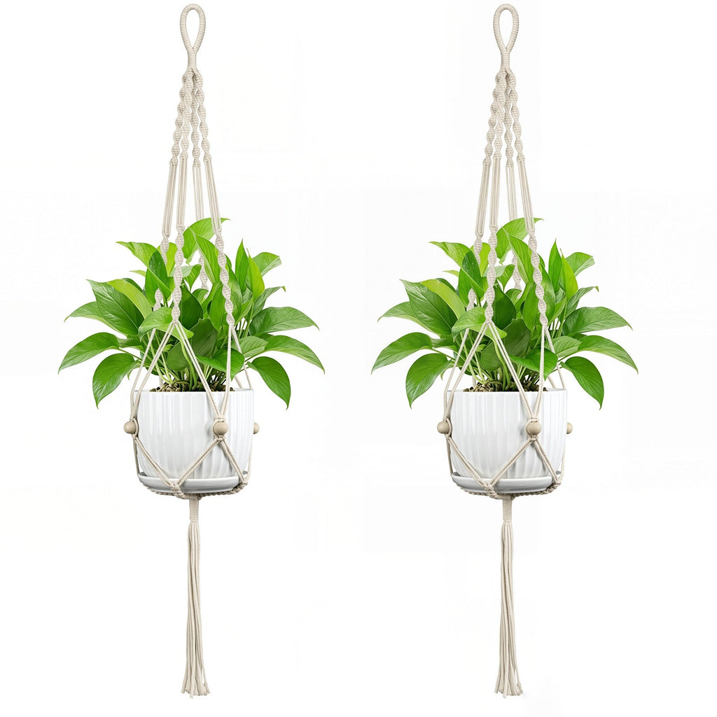 Plant Hanging Pot | High & Bury