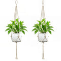 Plant Hanging Pot | High & Bury