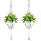 Plant Hanging Pot | High & Bury