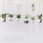 Plant Pots Suspension | High & Bury