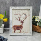 Quinfoma Photo Frame