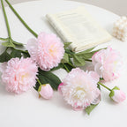 Realistic Art Peony | High & Bury