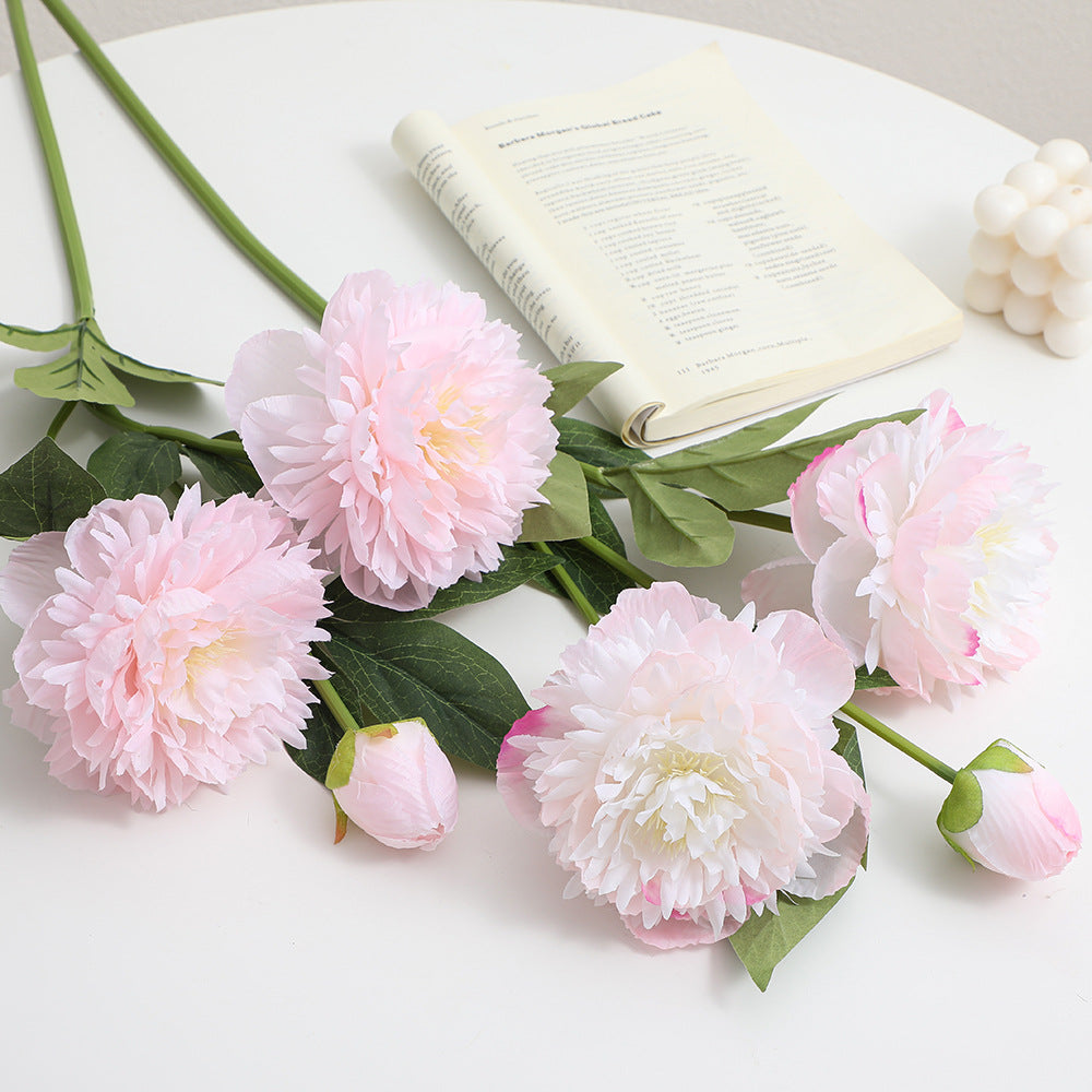Realistic Art Peony | High & Bury