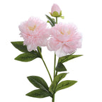 Realistic Art Peony | High & Bury