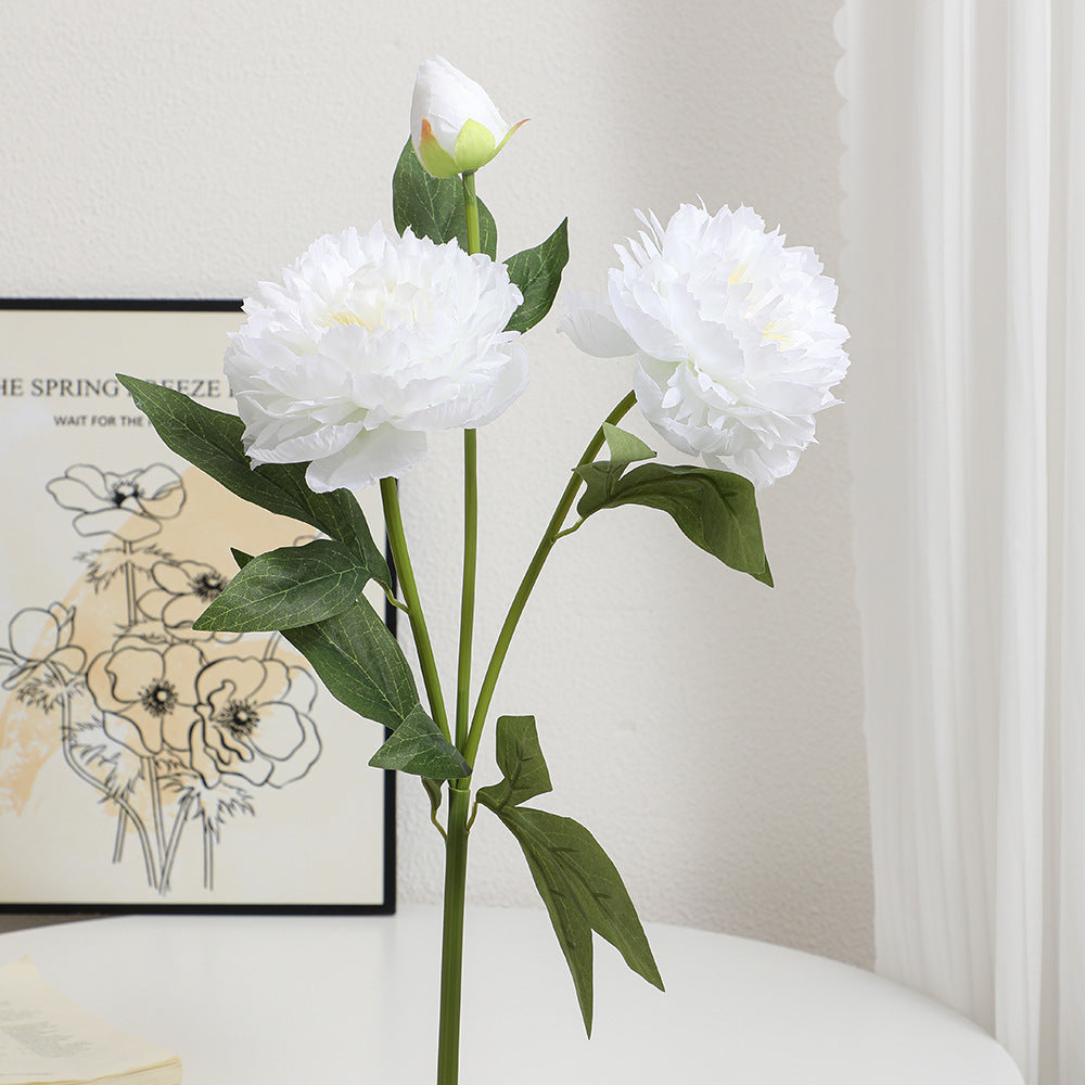 Realistic Art Peony | High & Bury