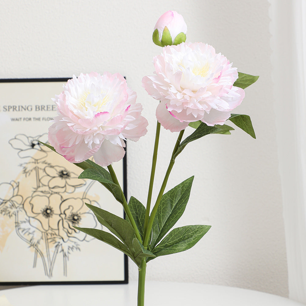 Realistic Art Peony | High & Bury