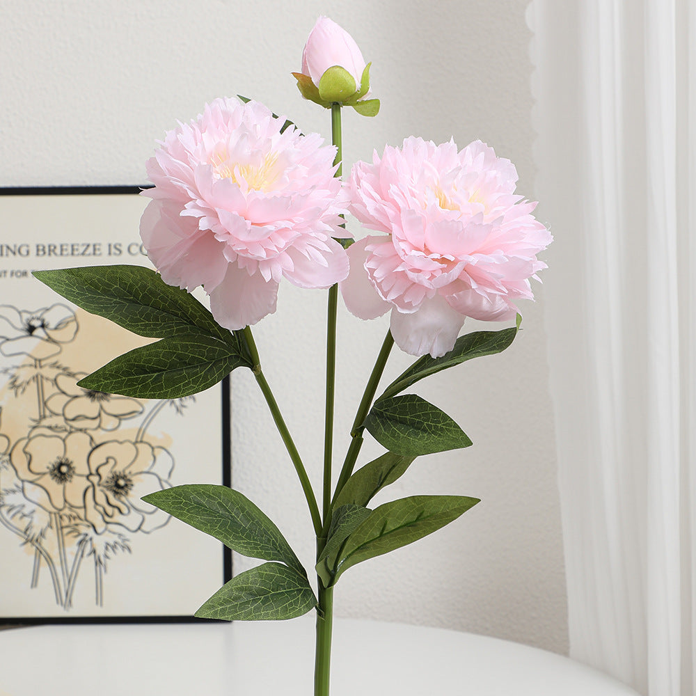 Realistic Art Peony | High & Bury