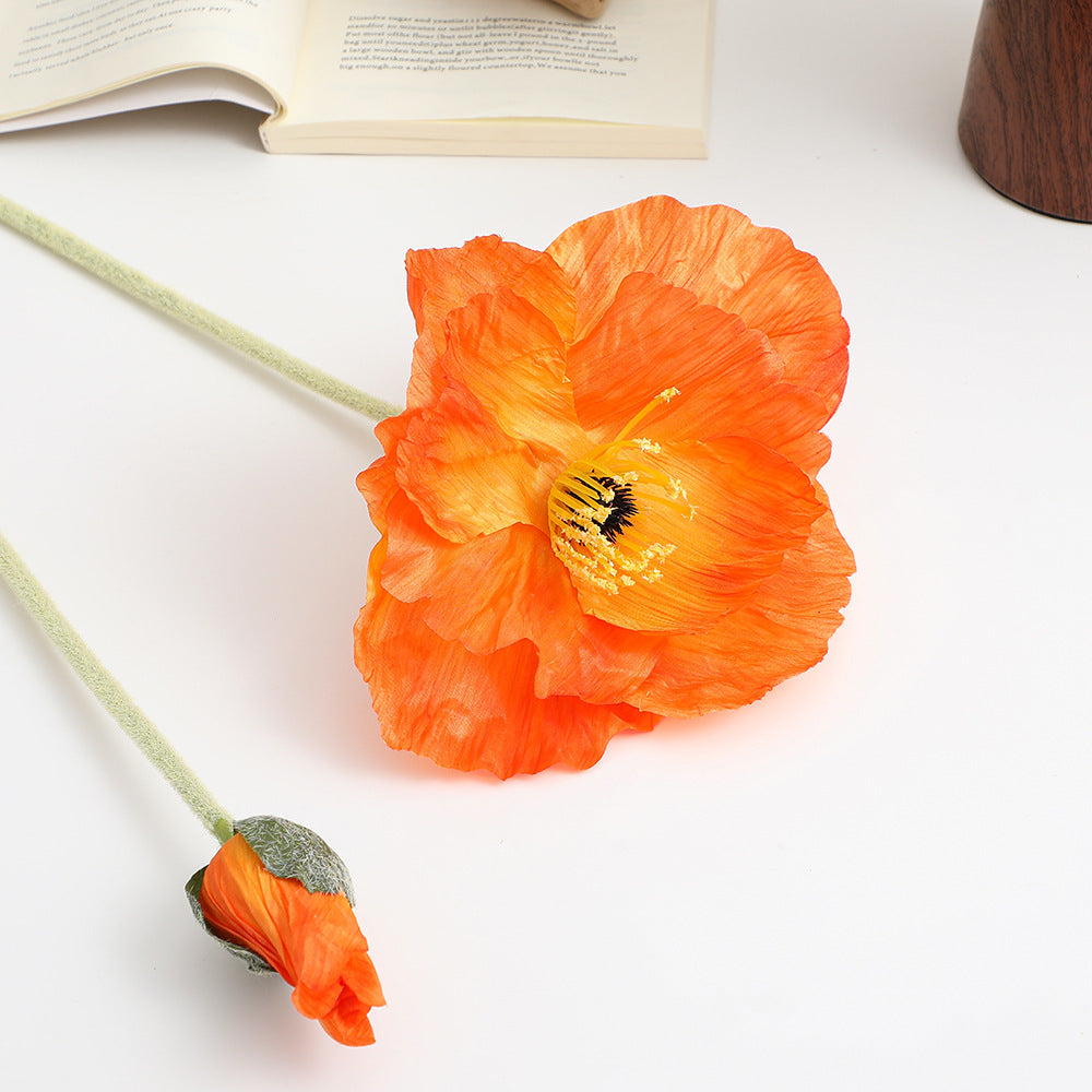 Realistic Artistic Poppy Flower | High & Bury