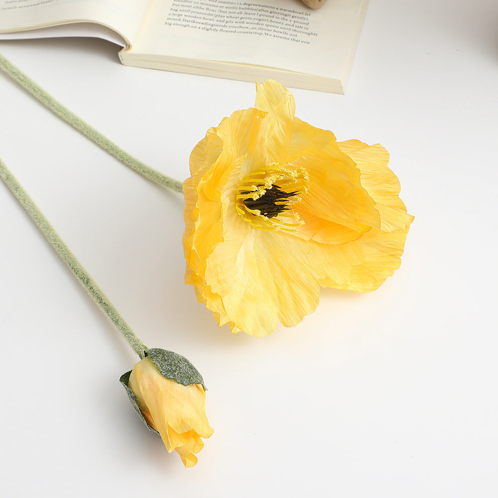 Realistic Artistic Poppy Flower | High & Bury