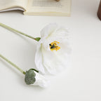 Realistic Artistic Poppy Flower | High & Bury