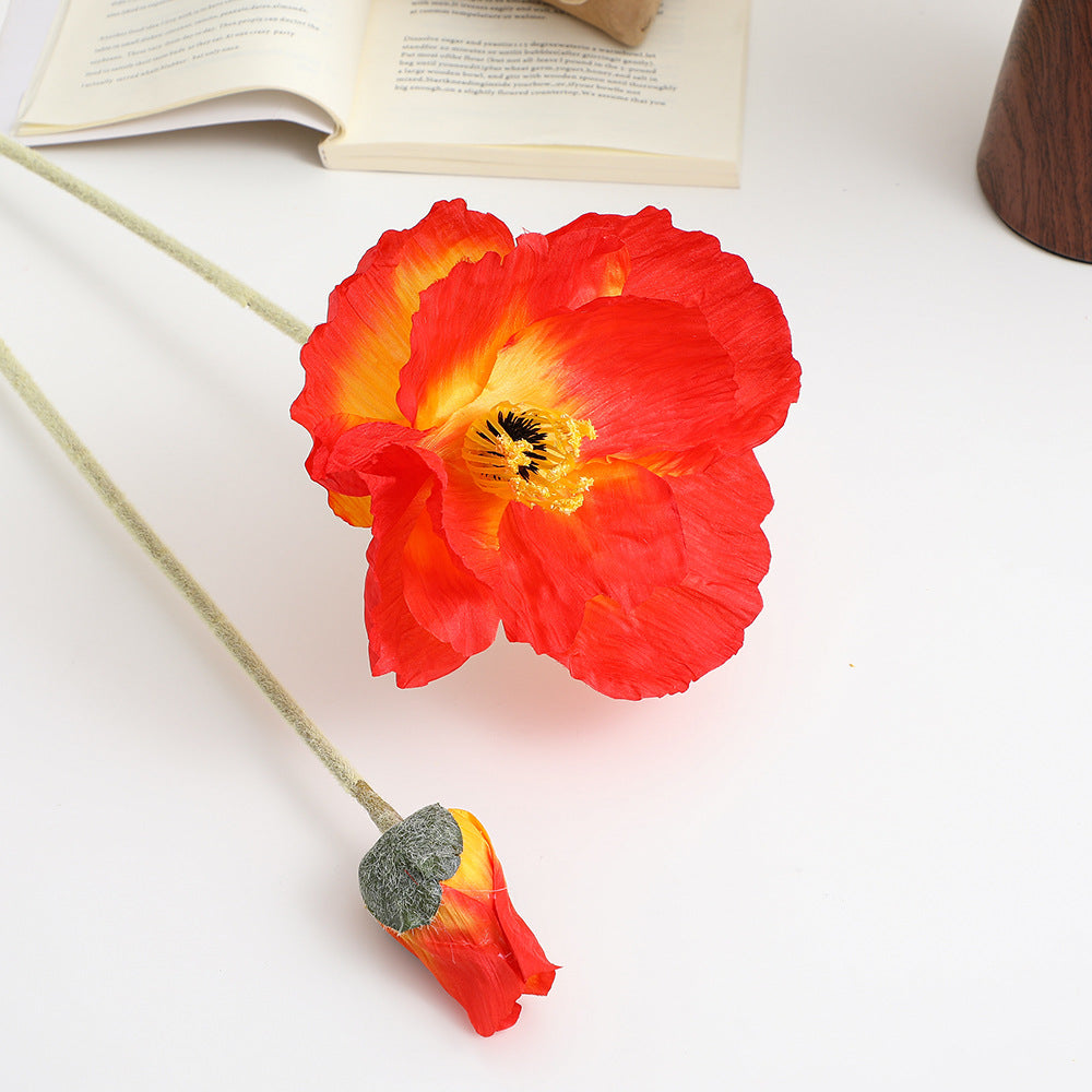 Realistic Artistic Poppy Flower | High & Bury