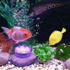 Remote-Controlled Colour-Changing Submersible LED Light with Suction Cups, view 7