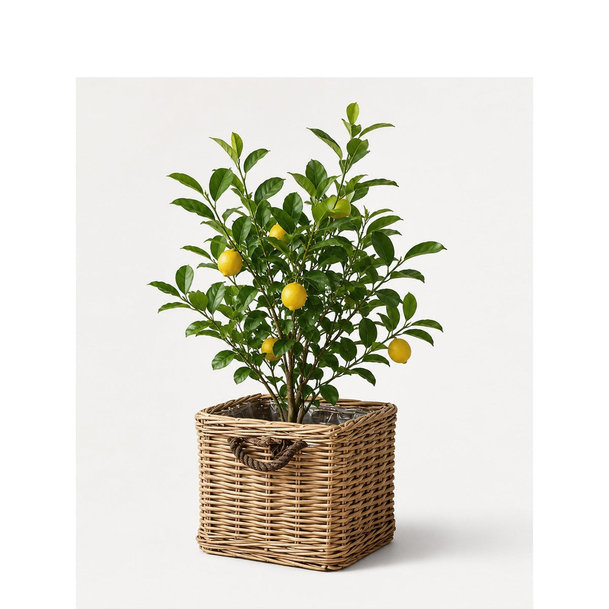 Robust Storage Basket with Reinforced Handles | High & Bury