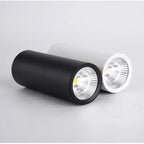 Rowanvale White LED Surface Mounted Downlight
