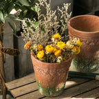 Rustic Terracotta Plant Pot | High & Bury