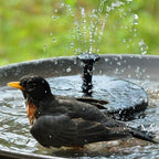 Solar Fountain Pump with 4 Spray Heads for Ponds, Birdbaths and Gardens, view 2