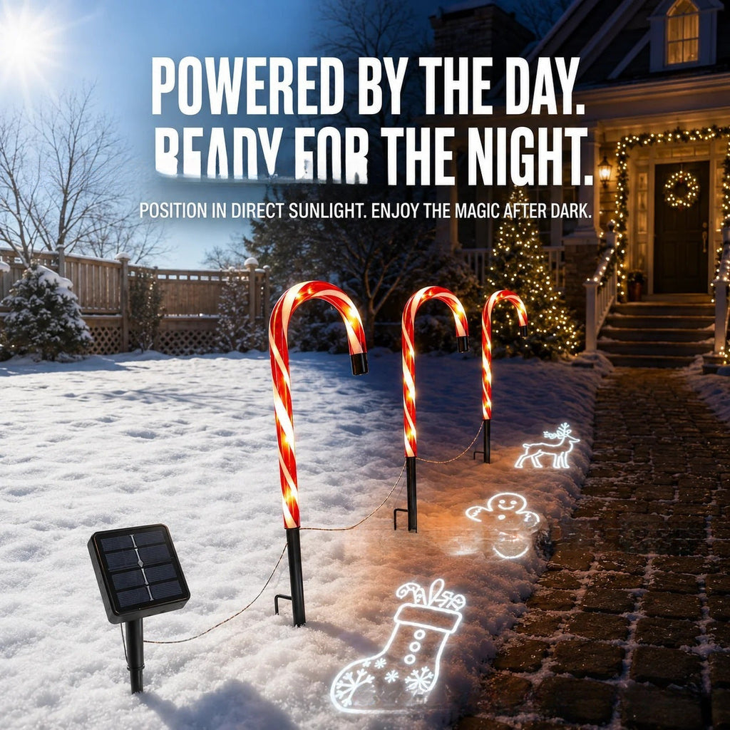 Solar-Powered Projecting Candy Cane Path Lights | High & Bury