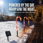 Solar-Powered Projecting Candy Cane Path Lights | High & Bury