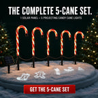 Solar-Powered Projecting Candy Cane Path Lights | High & Bury