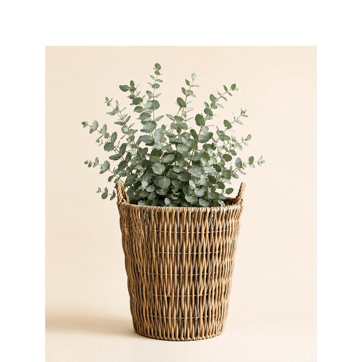 Storage Basket Model Exgq | High & Bury