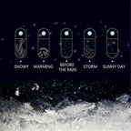 Storm Glass Forecast Bottle, Crystal Desktop Barometer with Wooden Base, view 2