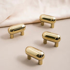 Stormthorpe Brass Cabinet Knob