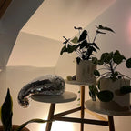 Telfella Sculpture