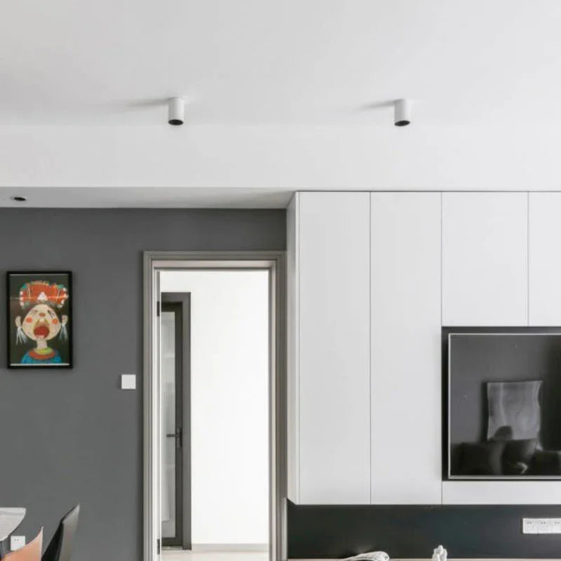 Thornshore Surface Mounted Downlight