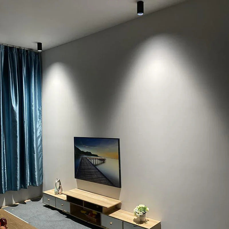 Thornshore Surface Mounted Downlight