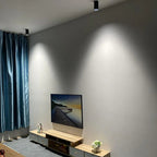 Thornshore Surface Mounted Downlight