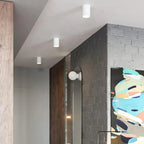 Thornshore Surface Mounted Downlight