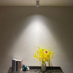 Thornshore Surface Mounted Downlight
