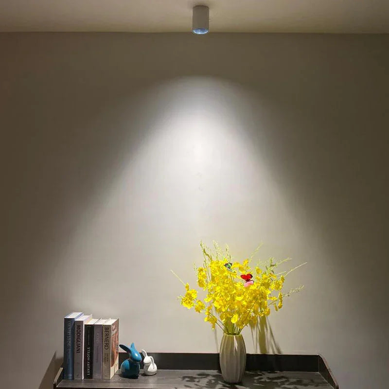 Thornshore Surface Mounted Downlight