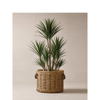 Willow Woven Basket with Inner Lining | High & Bury