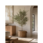 Willow Woven Basket with Inner Lining | High & Bury