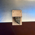 Wood-Handled Oyster Shell Opener Clamp, Height 13 cm, Width 8 cm, view 4