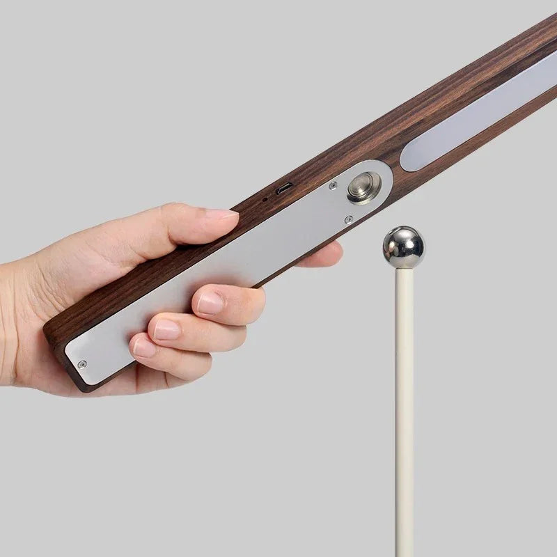 Zelndeno Desk Lamp